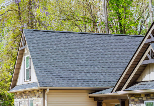 Best Roof Moss and Algae Removal  in Malverne, NY
